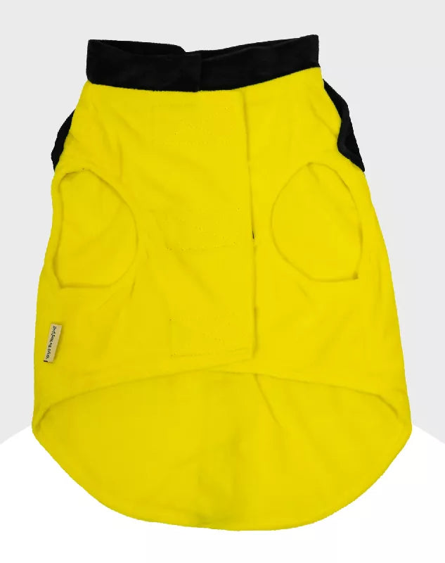 Yellow Velvet Tuxedo | Dog Tuxedo | Pet Tuxedo | Formal Suit for Dogs, Cats & Pets | Wedding, Party & Special Occasion Outfit