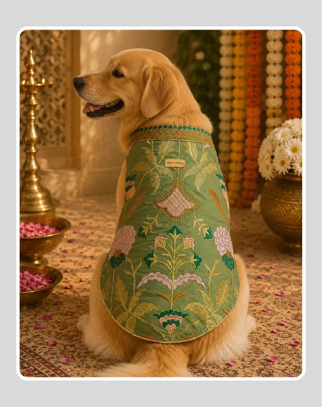 Classic Indian Sherwani for Dogs & Cats | Ethnic Kurta Sherwani for Dog, Cat and Puppy | Ethnic Wear | Mehendi - Dress - Party - Diwali - Wedding Wear