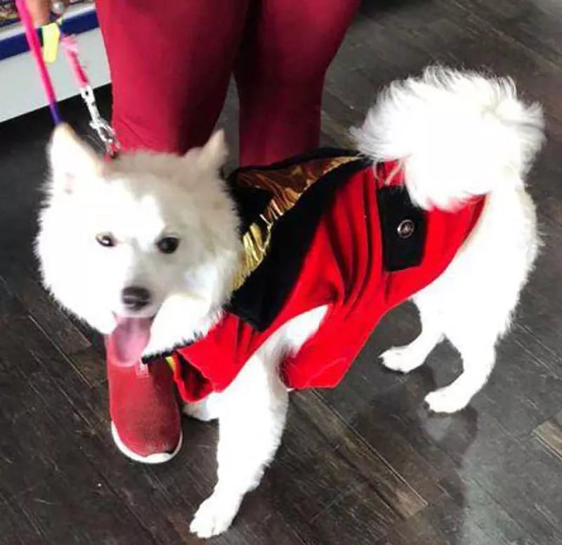 Red Velvet Tuxedo | Dog Tuxedo | Pet Tuxedo | Formal Suit for Dogs, Cats & Pets | Wedding, Party & Special Occasion Outfit