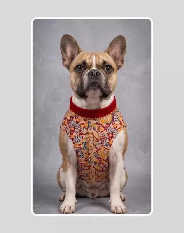 Maroon Floral Sherwani for Dogs & Cats | Dog Kurta Set | Indian Wedding Dress for Dogs, Puppies & Cats | Ethnic Pet Outfit for Festivals, Weddings, Diwali, Navratri, Engagement & Traditional Wear