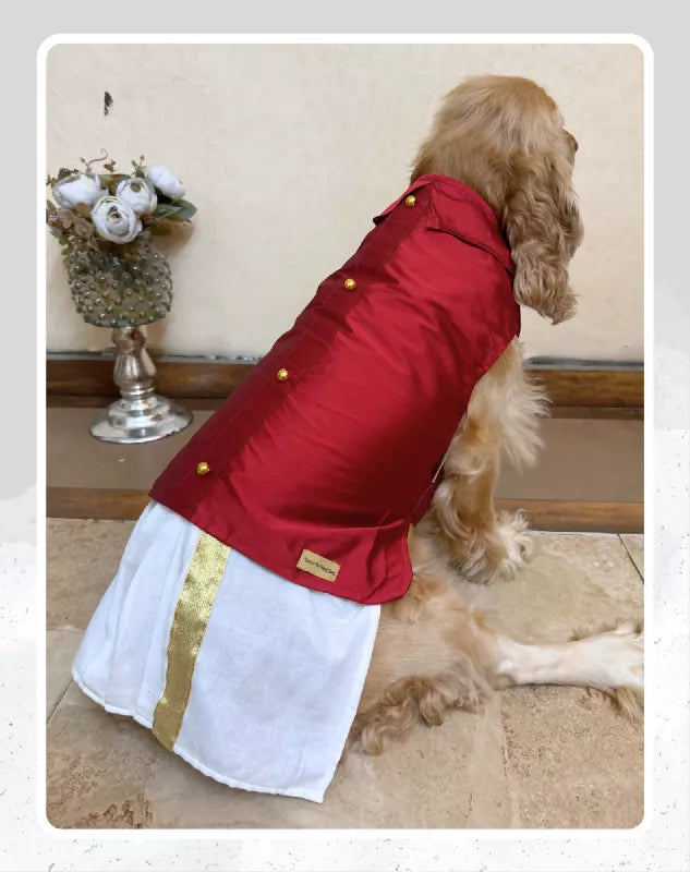 Dog Veshti Kurta | Pet Veshti Kurta | South Indian Dress for Dogs, Cats & Pets | Traditional Ethnic Wear
