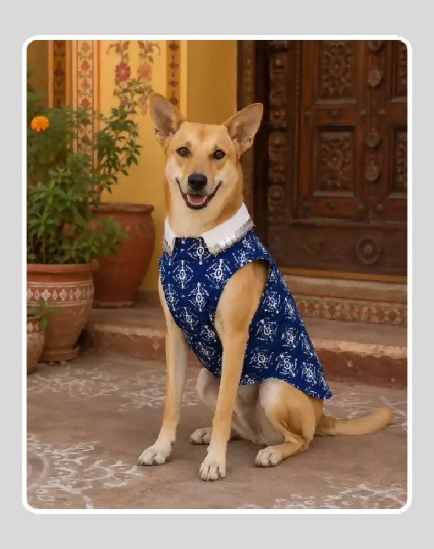 Blue Cotton Ethnic Kurta Sherwani for Dog, Cat and Puppy | Ethnic Wear | Mehendi - Dress - Party - Diwali - Wedding Wear