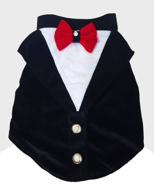 Black Velvet Tuxedo | Dog Tuxedo | Pet Tuxedo | Formal Suit for Dogs, Cats & Pets | Wedding, Party & Special Occasion Outfit