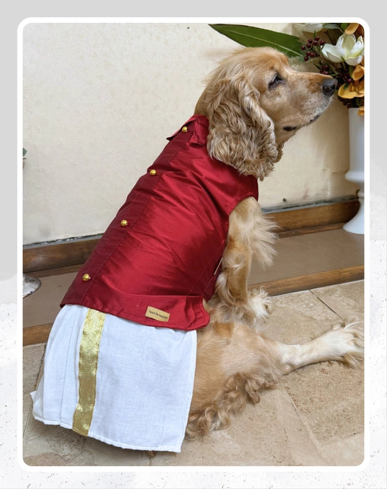 Dog Veshti Kurta | Pet Veshti Kurta | South Indian Dress for Dogs, Cats & Pets | Traditional Ethnic Wear