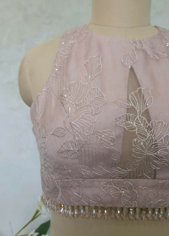 Blush Pink Embroidered Organza Saree Blouse