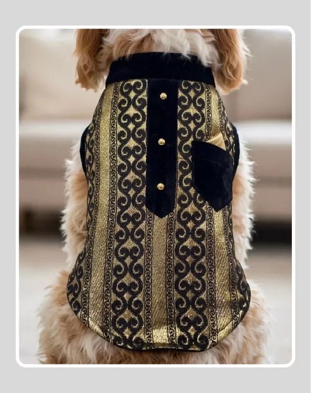 Black Sherwani with Gold Embroidery Work | Ethnic Kurta Sherwani for Dog, Cat and Puppy | Ethnic Wear | Mehendi - Dress - Party - Diwali - Wedding Wear