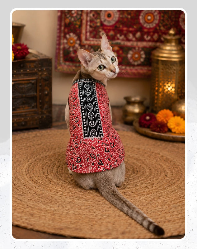 Red Cotton Ethnic Kurta Sherwani for Dog, Cat and Puppy | Ethnic Wear | Mehendi - Dress - Party - Diwali - Wedding Wear