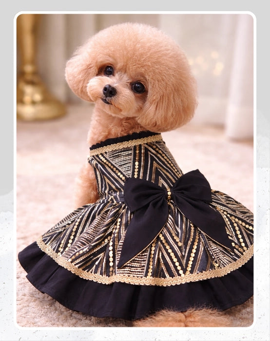 Black & Gold Pet Lehenga Dress | Dog Lehenga | Pet Lehenga Choli | Indian Dress for Dogs, Cats & Pets | Traditional Wedding & Festival Outfit