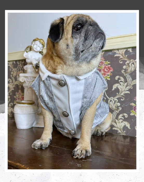 Silver Shimmer Tuxedo | Dog Tuxedo | Pet Tuxedo | Formal Suit for Dogs, Cats & Pets | Wedding, Party & Special Occasion Outfit