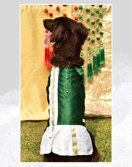Green Dog Veshti Kurta | Pet Veshti Kurta | South Indian Dress for Dogs, Cats & Pets | Traditional Ethnic Wear