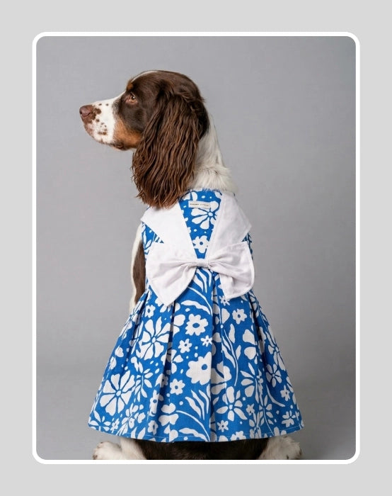Blue Floral Cotton Dress For Dog & Cat | Dog Lehenga | Pet Lehenga Choli | Indian Dress for Dogs, Cats & Pets | Traditional Wedding & Festival Outfit