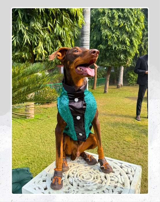 Green Sequin Tuxedo | Dog Tuxedo | Pet Tuxedo | Formal Suit for Dogs, Cats & Pets | Wedding, Party & Special Occasion Outfit