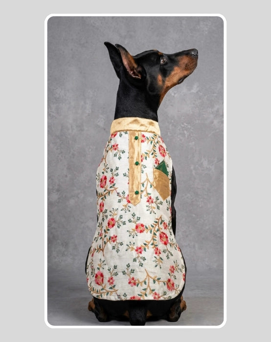 Beige Sherwani With Multicolour Floral Work | Ethnic Jacket | Dress - Party - Winter - Wedding Wear for Dog, Cat and Puppy