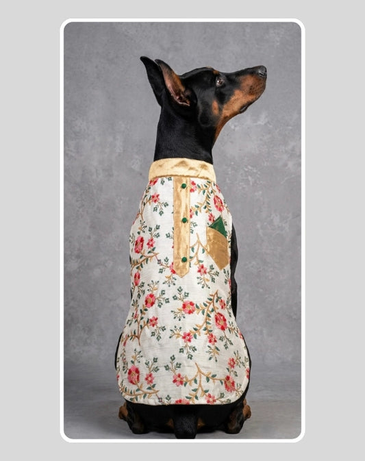 Beige Sherwani With Multicolour Floral Work | Ethnic Jacket | Dress - Party - Winter - Wedding Wear for Dog, Cat and Puppy