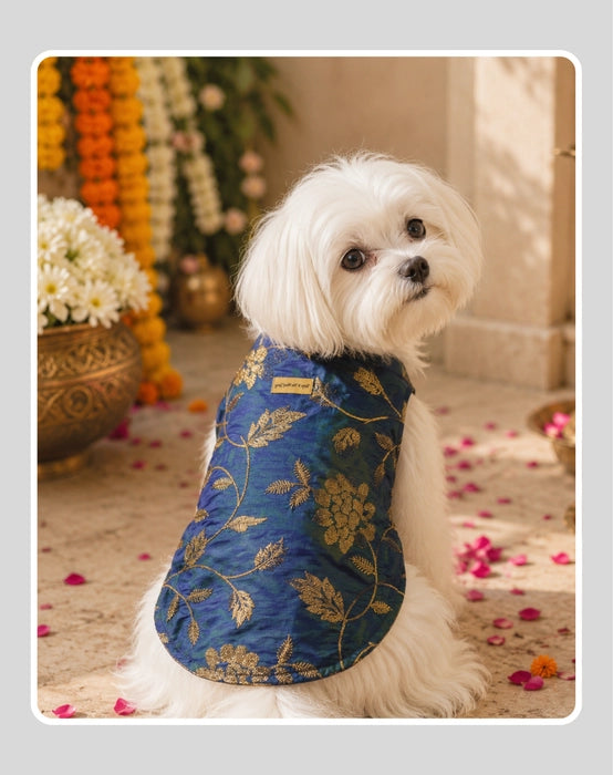 Elegant Sherwani for Dogs & Cats | Ethnic Kurta Sherwani for Dog, Cat and Puppy | Ethnic Wear | Mehendi - Dress - Party - Diwali - Wedding Wear