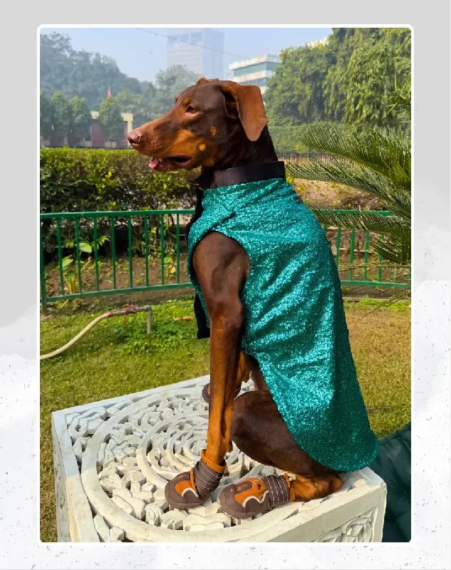 Green Sequin Tuxedo | Dog Tuxedo | Pet Tuxedo | Formal Suit for Dogs, Cats & Pets | Wedding, Party & Special Occasion Outfit