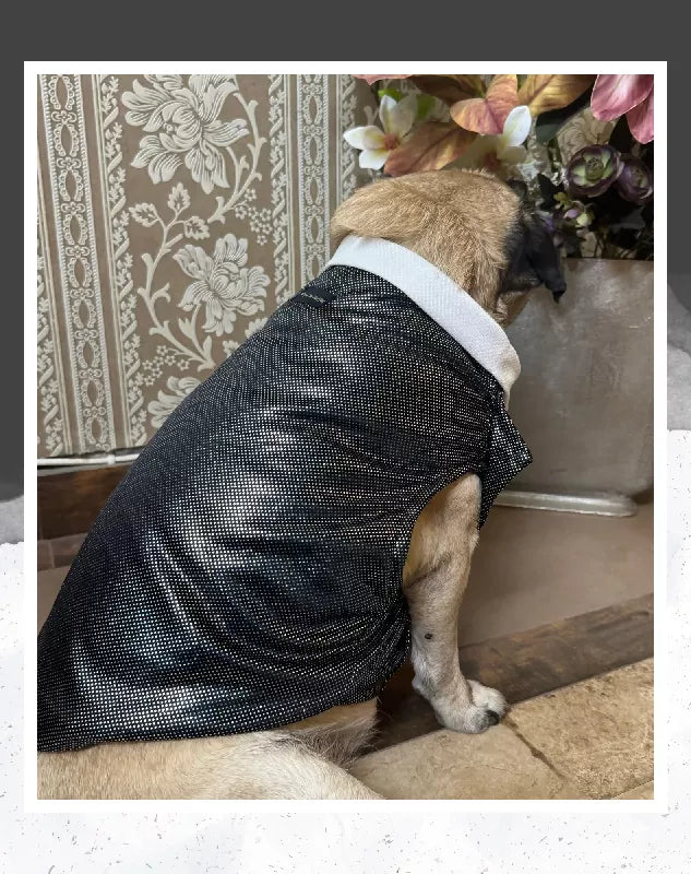 Black Shimmer Tuxedo | Dog Tuxedo | Pet Tuxedo | Formal Suit for Dogs, Cats & Pets | Wedding, Party & Special Occasion Outfit