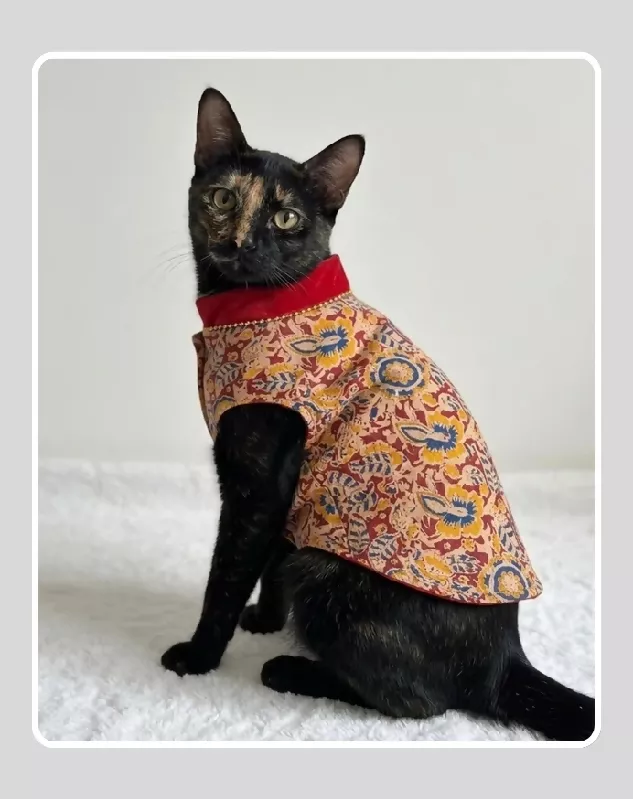 Maroon Floral Sherwani for Dogs & Cats | Dog Kurta Set | Indian Wedding Dress for Dogs, Puppies & Cats | Ethnic Pet Outfit for Festivals, Weddings, Diwali, Navratri, Engagement & Traditional Wear