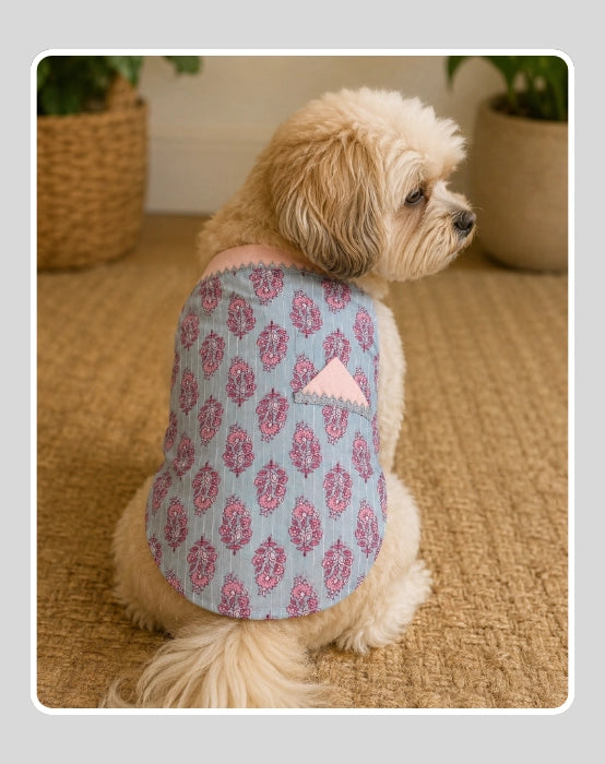 Baby Blue Cotton Ethnic Kurta Sherwani for Dog, Cat and Puppy | Ethnic Wear | Mehendi - Dress - Party - Diwali - Wedding Wear
