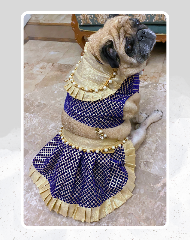 Blue & Gold Lehenga Choli for Dogs & Cats | Dog Lehenga | Pet Lehenga Choli | Indian Dress for Dogs, Cats & Pets | Traditional Wedding & Festival Outfit