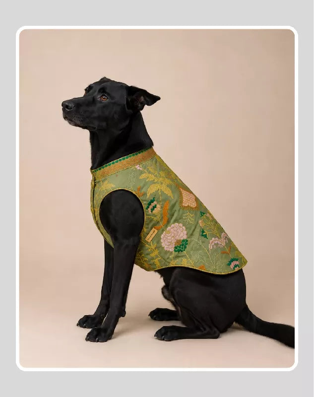 Classic Indian Sherwani for Dogs & Cats | Ethnic Kurta Sherwani for Dog, Cat and Puppy | Ethnic Wear | Mehendi - Dress - Party - Diwali - Wedding Wear