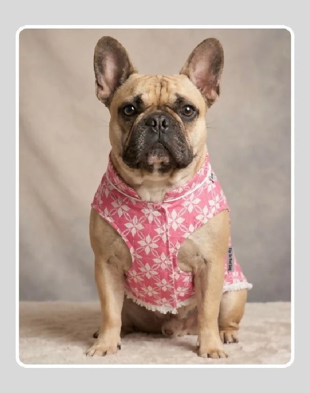 Pink Sherwani for Dogs & Cats | Dog Kurta Set | Indian Wedding Dress for Dogs, Puppies & Cats | Ethnic Pet Outfit for Festivals, Weddings, Diwali, Navratri, Engagement & Traditional Wear