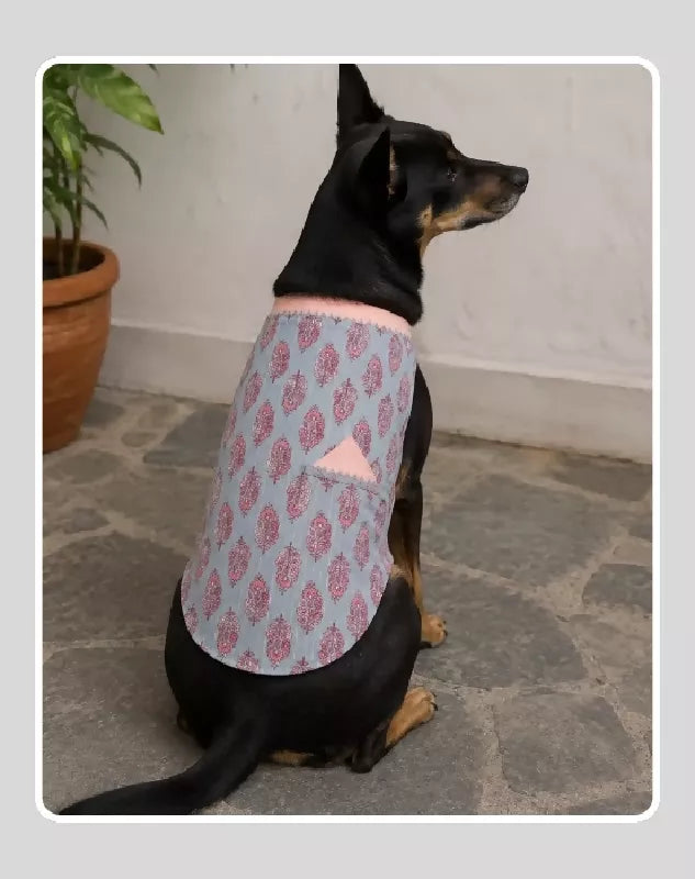 Baby Blue Cotton Ethnic Kurta Sherwani for Dog, Cat and Puppy | Ethnic Wear | Mehendi - Dress - Party - Diwali - Wedding Wear