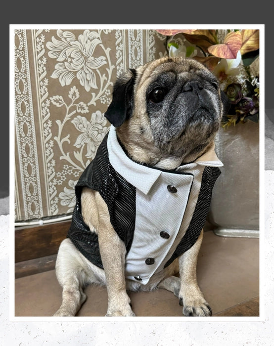 Black Shimmer Tuxedo | Dog Tuxedo | Pet Tuxedo | Formal Suit for Dogs, Cats & Pets | Wedding, Party & Special Occasion Outfit
