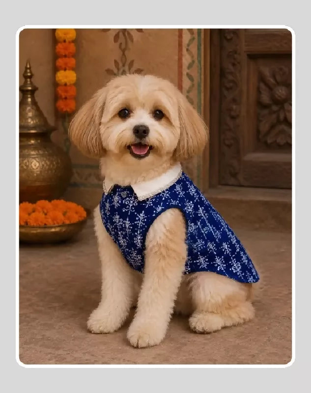 Blue Cotton Ethnic Kurta Sherwani for Dog, Cat and Puppy | Ethnic Wear | Mehendi - Dress - Party - Diwali - Wedding Wear