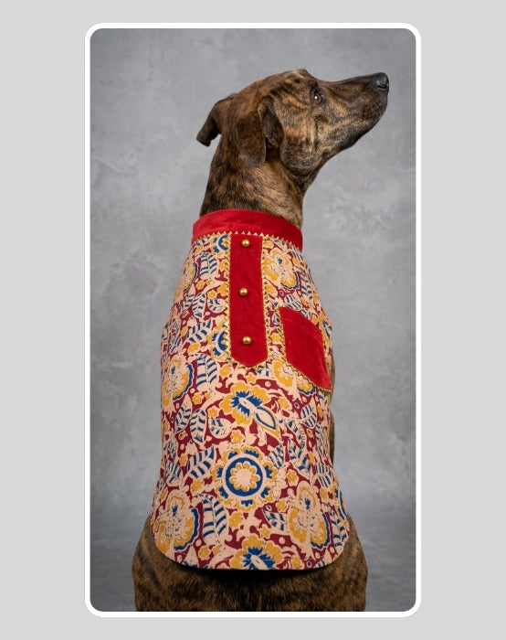 Maroon Floral Sherwani for Dogs & Cats | Dog Kurta Set | Indian Wedding Dress for Dogs, Puppies & Cats | Ethnic Pet Outfit for Festivals, Weddings, Diwali, Navratri, Engagement & Traditional Wear