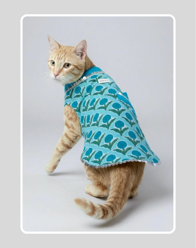 Blue Sherwani for Dogs & Cats | Ethnic Kurta Sherwani for Dog, Cat and Puppy | Ethnic Wear | Mehendi - Dress - Party - Diwali - Wedding Wear