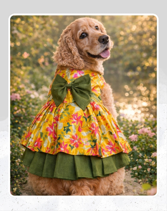 Floral Dog Dress, Gown, Lehenga For Dog, Cat | Dog Lehenga | Pet Lehenga Choli | Indian Dress for Dogs, Cats & Pets | Traditional Wedding & Festival Outfit