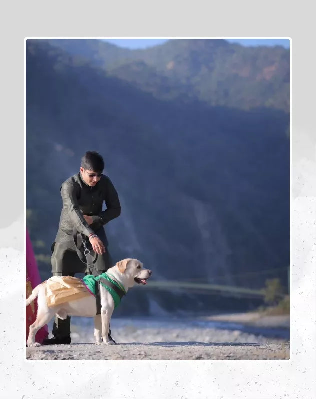Classy Green Dhoti Kurta for Dogs & Cats | Dog Dhoti Kurta | Pet Dhoti Kurta | Indian Ethnic Dress for Dogs, Cats & Pets | Traditional Festival & Wedding Outfit