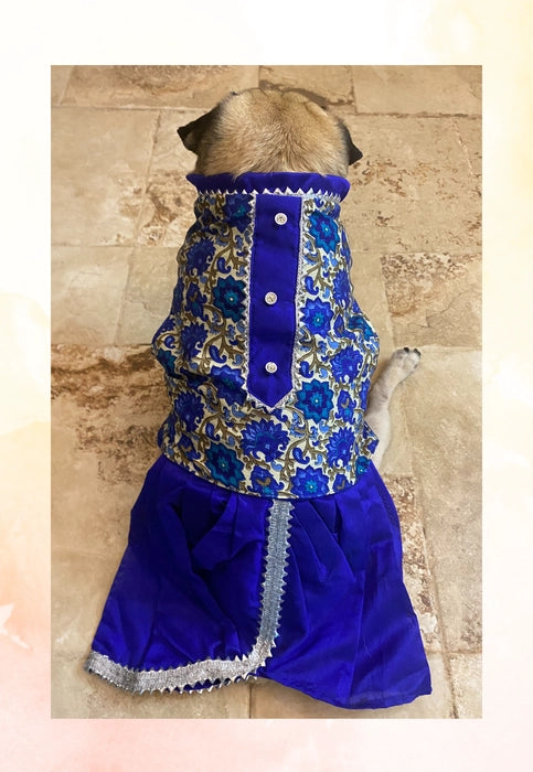 Classy Blue Dhoti Kurta for Dogs & Cats | Dog Dhoti Kurta | Pet Dhoti Kurta | Indian Ethnic Dress for Dogs, Cats & Pets | Traditional Festival & Wedding Outfit