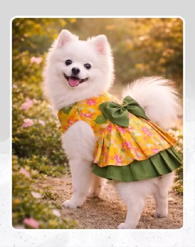 Floral Dog Dress, Gown, Lehenga For Dog, Cat | Dog Lehenga | Pet Lehenga Choli | Indian Dress for Dogs, Cats & Pets | Traditional Wedding & Festival Outfit