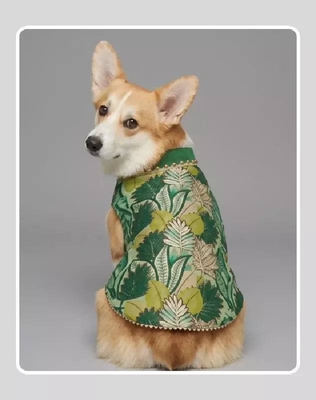 Green Sherwani for Dogs & Cats | Dog Kurta Set | Indian Wedding Dress for Dogs, Puppies & Cats | Ethnic Pet Outfit for Festivals, Weddings, Diwali, Navratri, Engagement & Traditional Wear