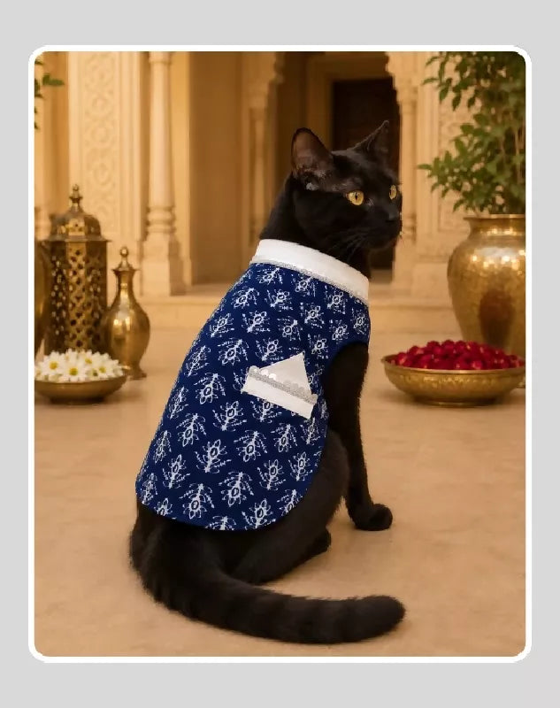 Blue Cotton Ethnic Kurta Sherwani for Dog, Cat and Puppy | Ethnic Wear | Mehendi - Dress - Party - Diwali - Wedding Wear