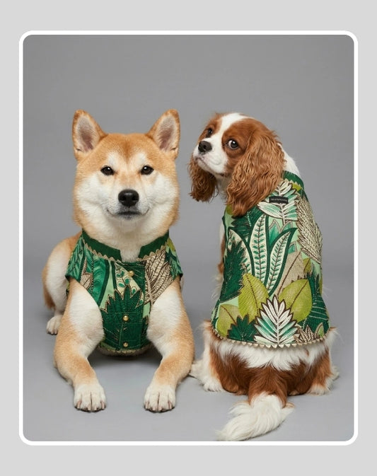 Green Sherwani for Dogs & Cats | Dog Kurta Set | Indian Wedding Dress for Dogs, Puppies & Cats | Ethnic Pet Outfit for Festivals, Weddings, Diwali, Navratri, Engagement & Traditional Wear