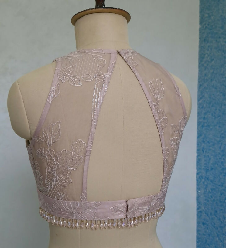 Blush Pink Embroidered Organza Saree Blouse