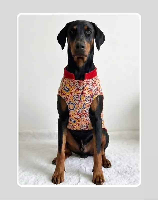Maroon Floral Sherwani for Dogs & Cats | Dog Kurta Set | Indian Wedding Dress for Dogs, Puppies & Cats | Ethnic Pet Outfit for Festivals, Weddings, Diwali, Navratri, Engagement & Traditional Wear