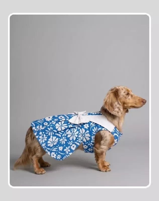 Blue Floral Cotton Dress For Dog & Cat | Dog Lehenga | Pet Lehenga Choli | Indian Dress for Dogs, Cats & Pets | Traditional Wedding & Festival Outfit
