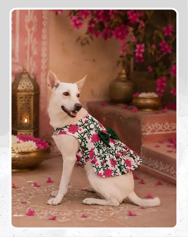 Pink Floral Cotton Dress For Dog & Cat | Dog Lehenga | Pet Lehenga Choli | Indian Dress for Dogs, Cats & Pets | Traditional Wedding & Festival Outfit