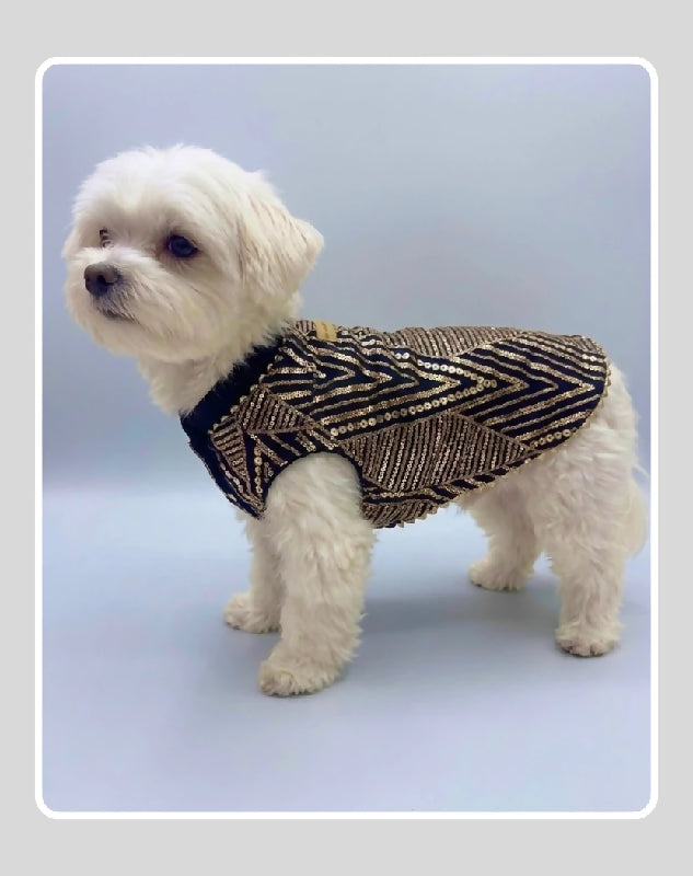 Indian Motif Sherwani for Dogs & Cats | Ethnic Kurta Sherwani for Dog, Cat and Puppy | Ethnic Wear | Mehendi - Dress - Party - Diwali - Wedding Wear