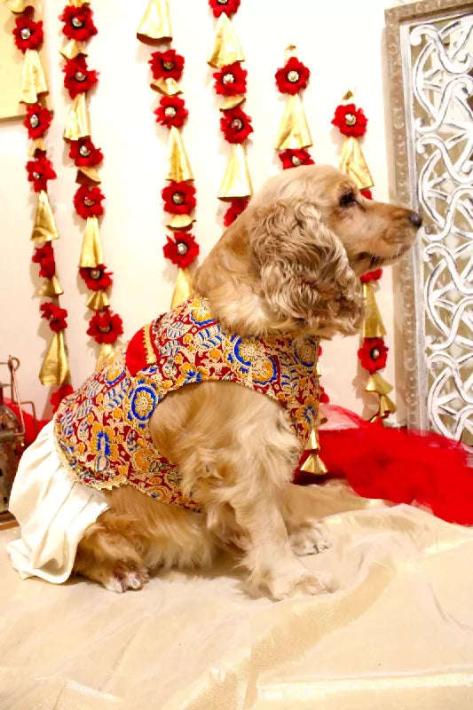 Classy Red Dhoti Kurta for Dogs & Cats | Dog Dhoti Kurta | Pet Dhoti Kurta | Indian Ethnic Dress for Dogs, Cats & Pets | Traditional Festival & Wedding Outfit