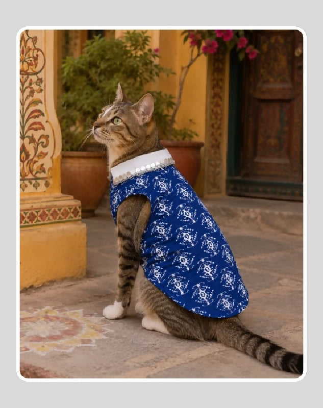 Blue Cotton Ethnic Kurta Sherwani for Dog, Cat and Puppy | Ethnic Wear | Mehendi - Dress - Party - Diwali - Wedding Wear