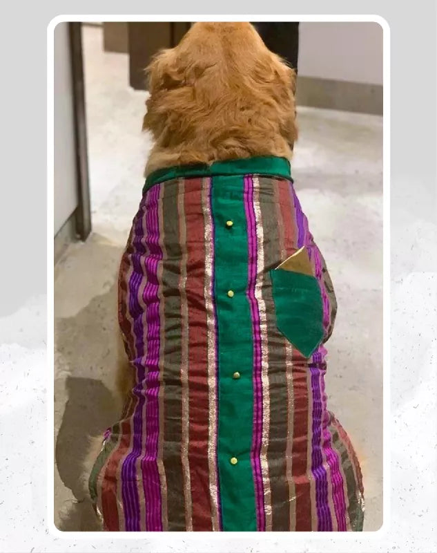 Multicolour Stripe Sherwani With Green Centre & Gold Buttons | Ethnic Kurta Sherwani for Dog, Cat and Puppy | Ethnic Wear | Mehendi - Dress - Party - Diwali - Wedding Wear