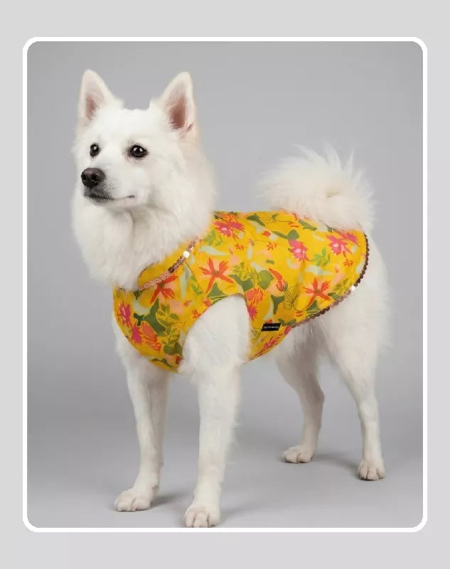 Yellow Floral Sherwani for Dogs & Cats | Ethnic Kurta Sherwani for Dog, Cat and Puppy | Ethnic Wear | Mehendi - Dress - Party - Diwali - Wedding Wear