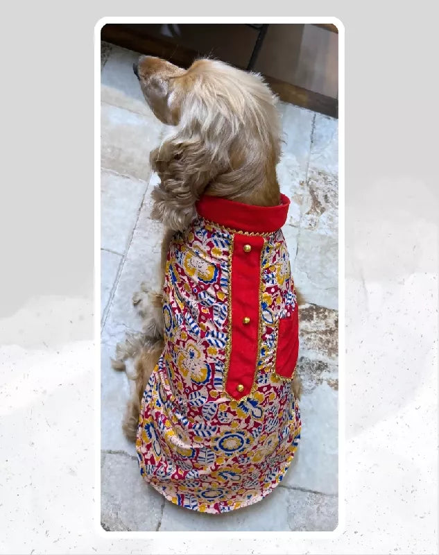 Maroon Floral Sherwani for Dogs & Cats | Dog Kurta Set | Indian Wedding Dress for Dogs, Puppies & Cats | Ethnic Pet Outfit for Festivals, Weddings, Diwali, Navratri, Engagement & Traditional Wear