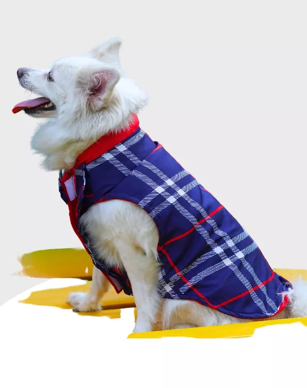 Blue Check Tuxedo | Dog Tuxedo | Pet Tuxedo | Formal Suit for Dogs, Cats & Pets | Wedding, Party & Special Occasion Outfit