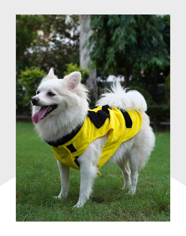 Yellow Velvet Tuxedo | Dog Tuxedo | Pet Tuxedo | Formal Suit for Dogs, Cats & Pets | Wedding, Party & Special Occasion Outfit